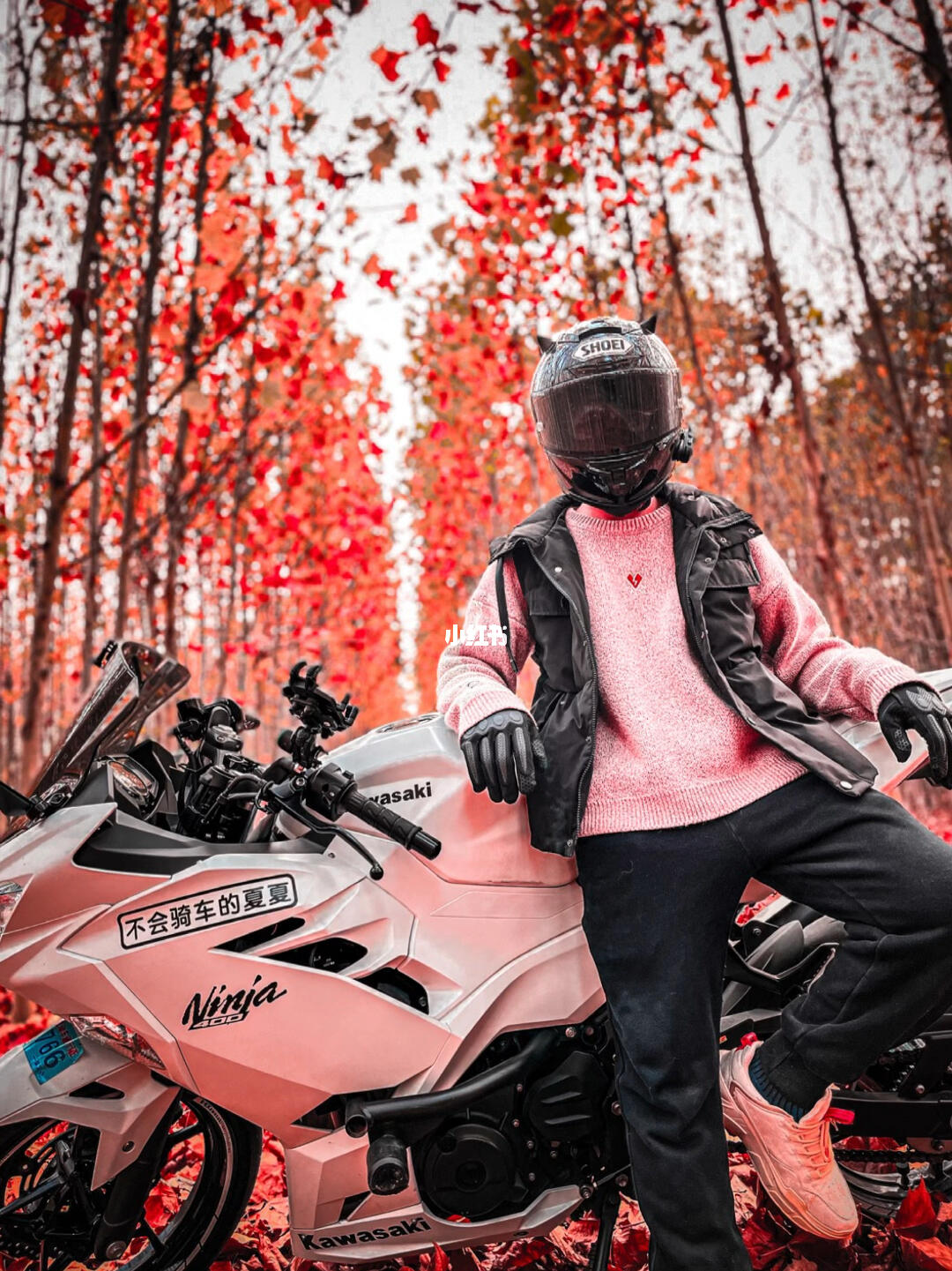 机车  #川崎ninja400  #爱机车爱生活  #二次元