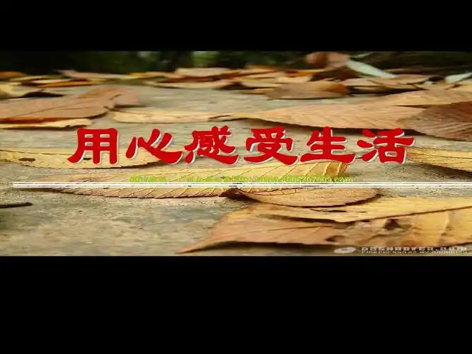 用心感受生活(四川省优质课作文课件)