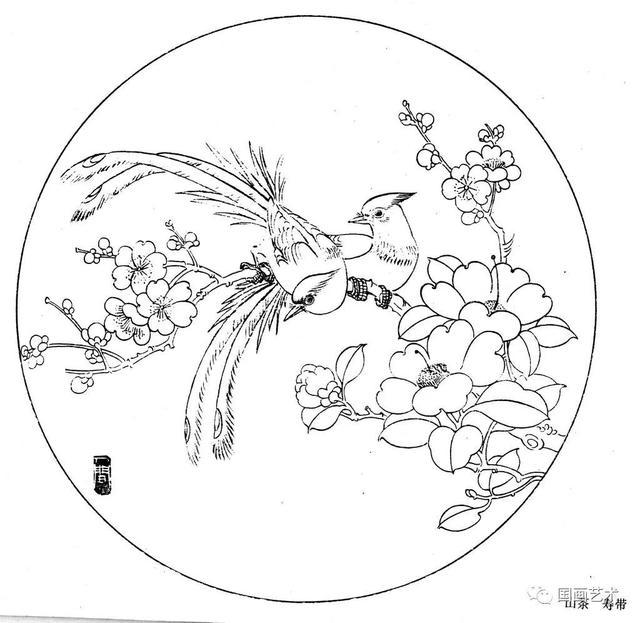 这组白描花鸟画得真好