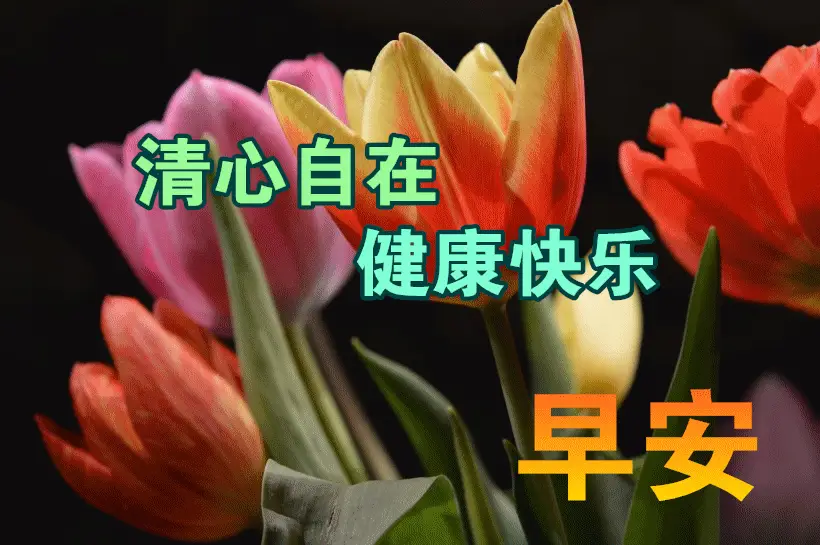 早上好问候美图,早安问候语句.