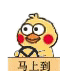 马上到小黄鸡小黄鸡开车动图表情包