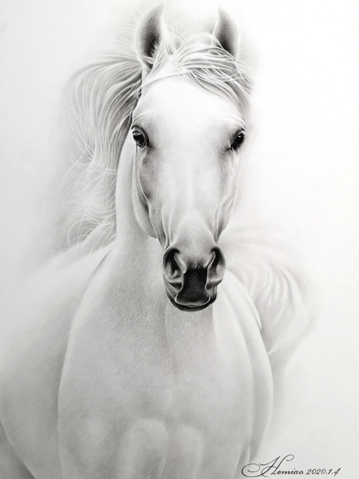 素描 《马》 炭笔 素描纸 炭笔 素描纸