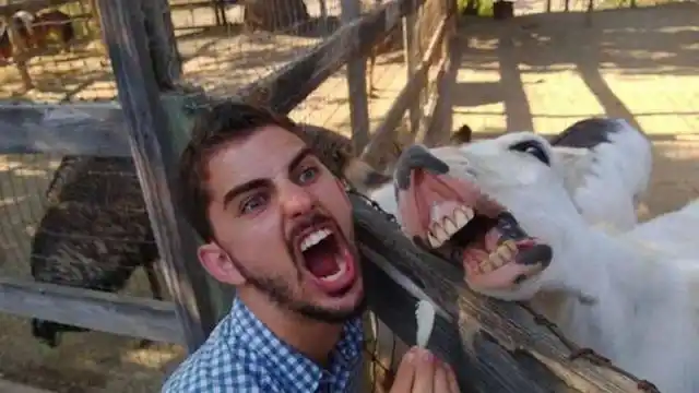 笑点低慎看!笑死人不偿命的牛人恶搞