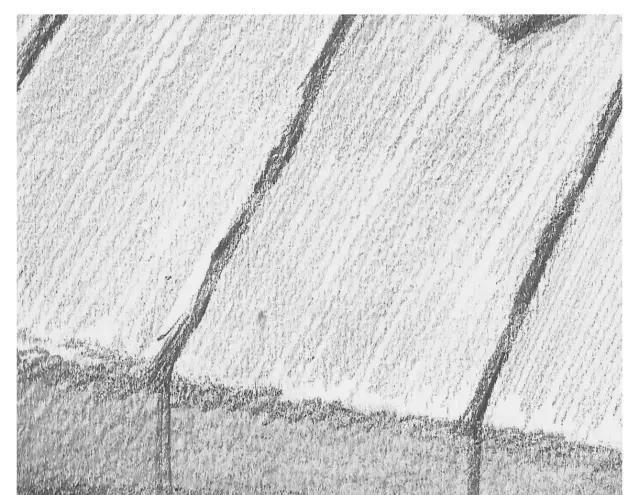 技法素描达人的5个速成攻略