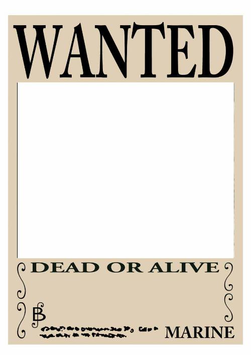 谁能给我个海贼悬赏令底图