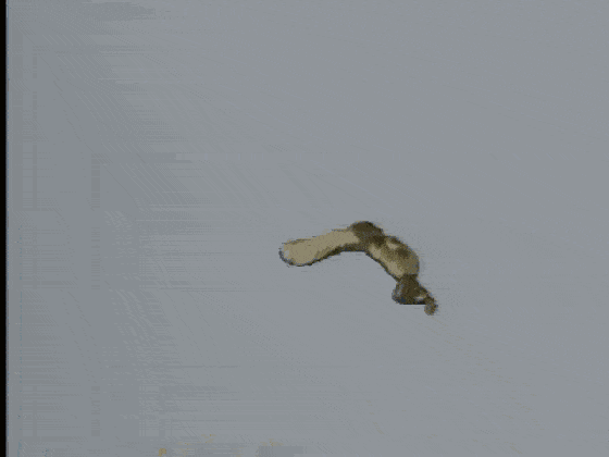 哦?真的吗? 大数据挖掘,可是悟空的拿手菜,各位看官稍等片刻.