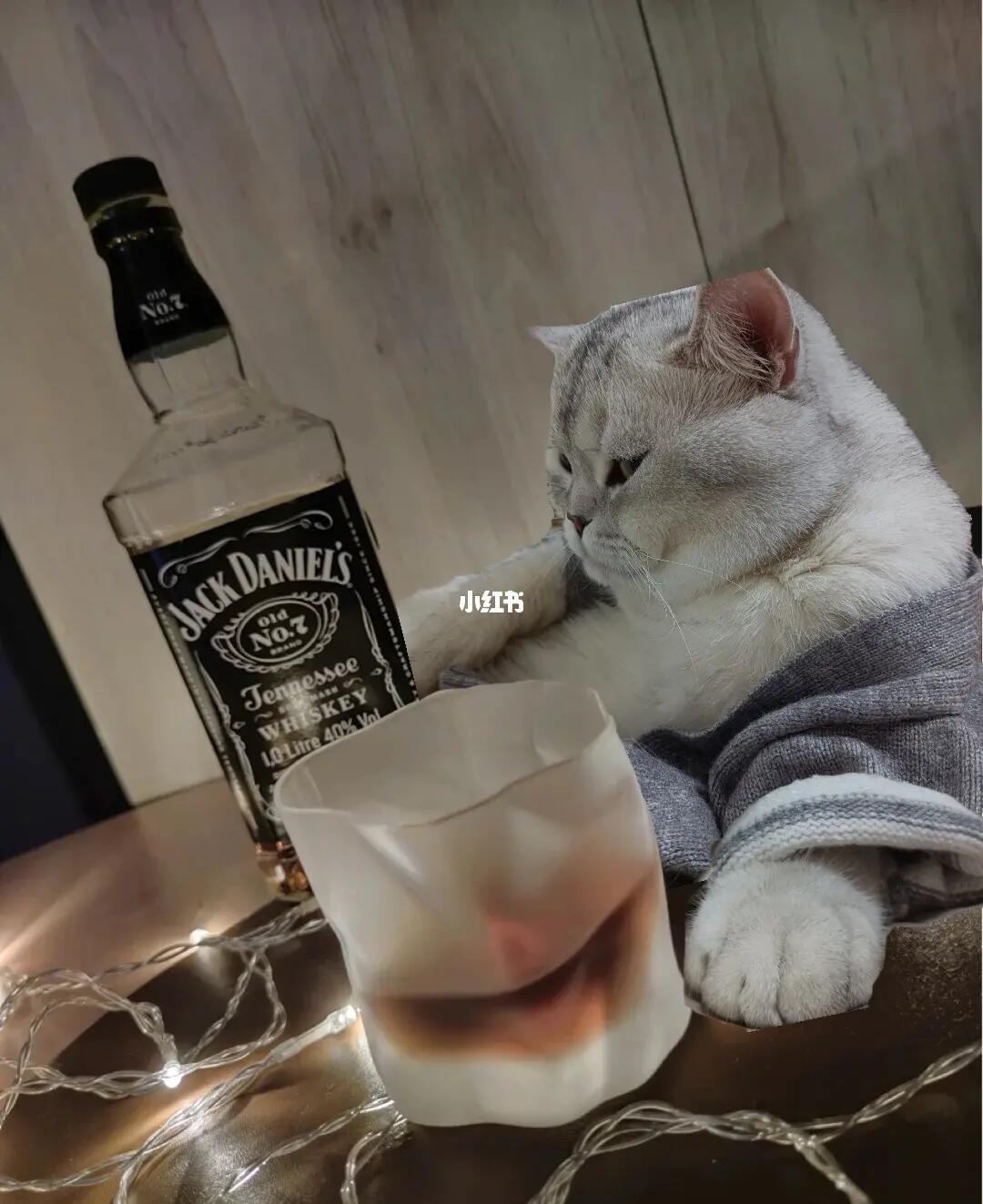 某胖明星深夜买醉