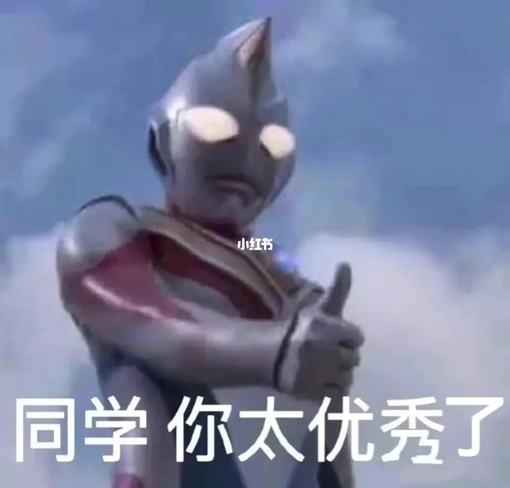 网课作业表情包③