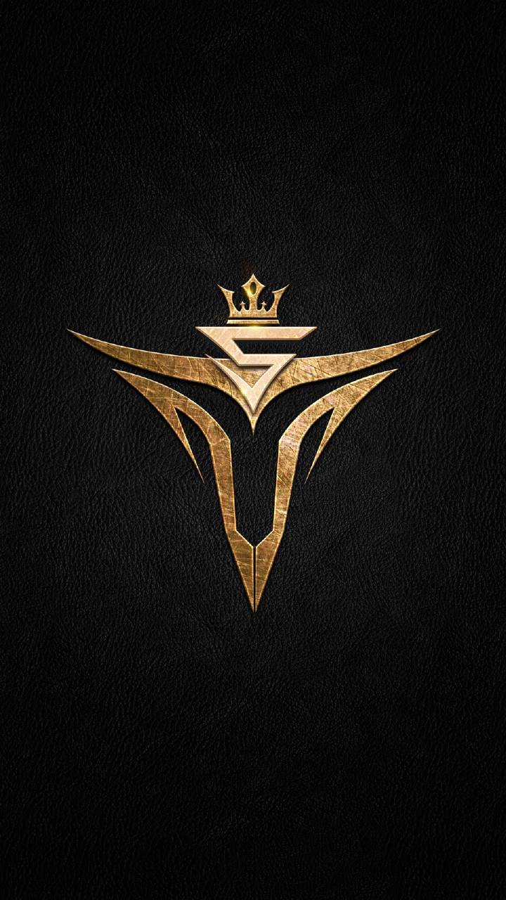 v5战队创始人:我们的目标是星辰大海