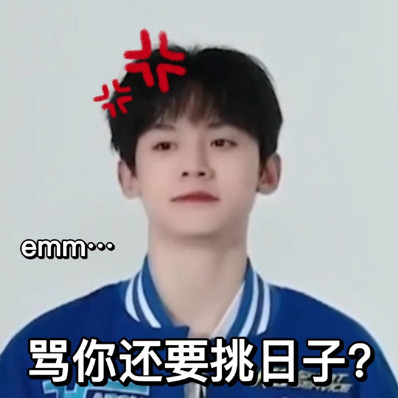 《n件事》十一表情包(左航篇) 这期物料真的纯正三楼味儿啊哈哈02