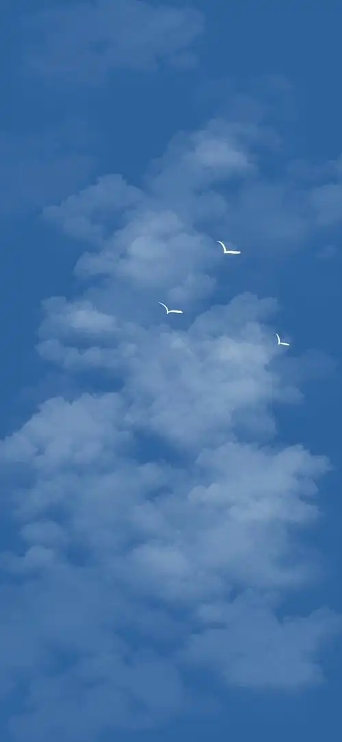 蓝色系的小米桌面嘿嘿