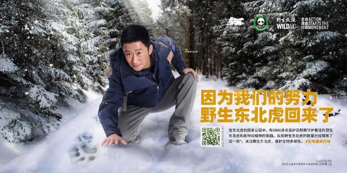 保护野生东北虎宣传片发布公益大使吴京为巡护员代言