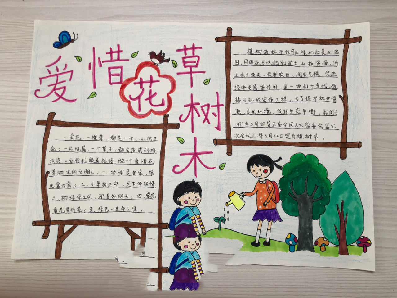 爱护花草树木手抄报 植物节~小学生文明~爱护花草树木~小学生手抄报
