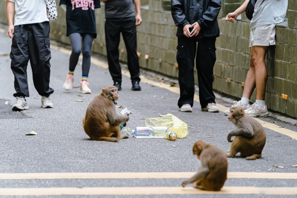 这条地铁线传来新进展!