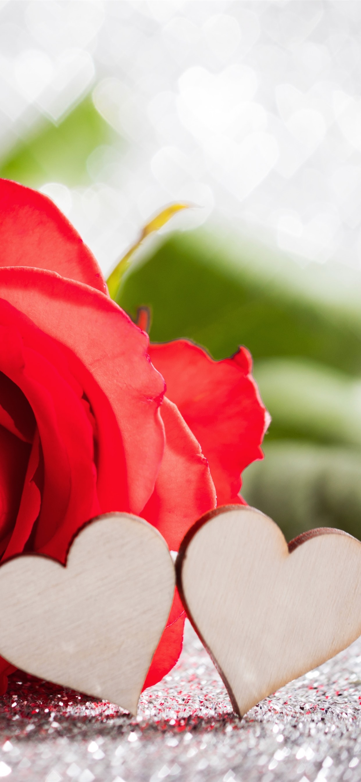 红玫瑰,爱心,朦胧,浪漫 iphone 壁纸