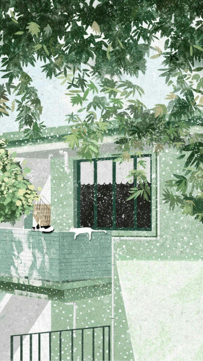 治愈系 小清新 手机壁纸 全面屏壁纸 绿色 护眼 图源 微博池尤