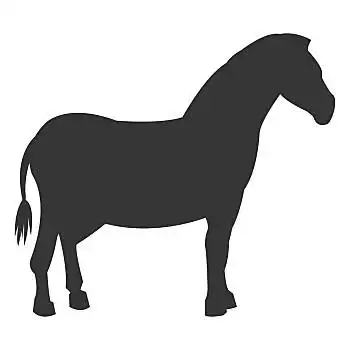 斑马,剪影,象征,简单,设计,矢量,插画,动物