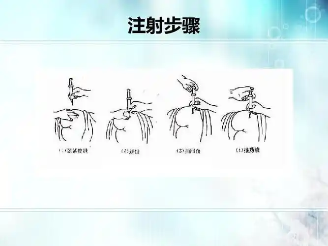 微课比赛(肌内注射法)课件ppt_word文档在线阅读与下载_无忧文档