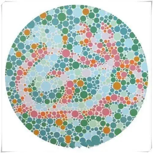 2024年车管所色盲测试图升级,看不出来的无缘考驾照