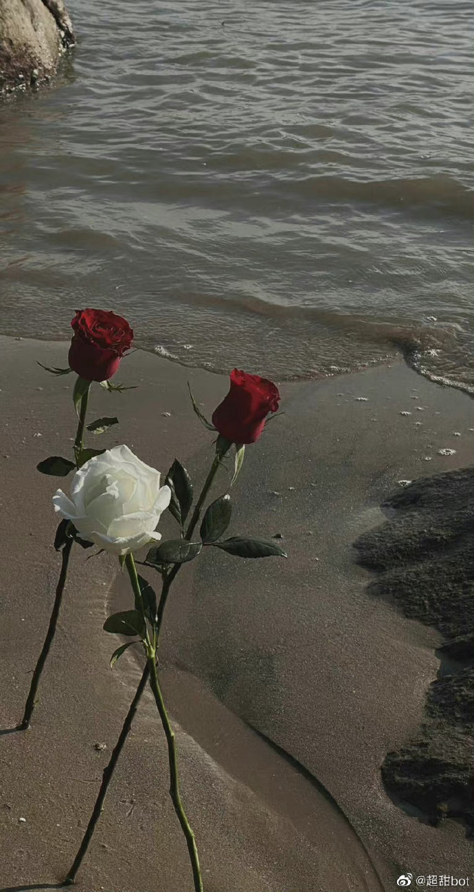 聊天背景图##手机壁纸