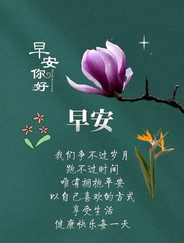 早安问候语祝阳光的照耀为你带来些许温暖早安