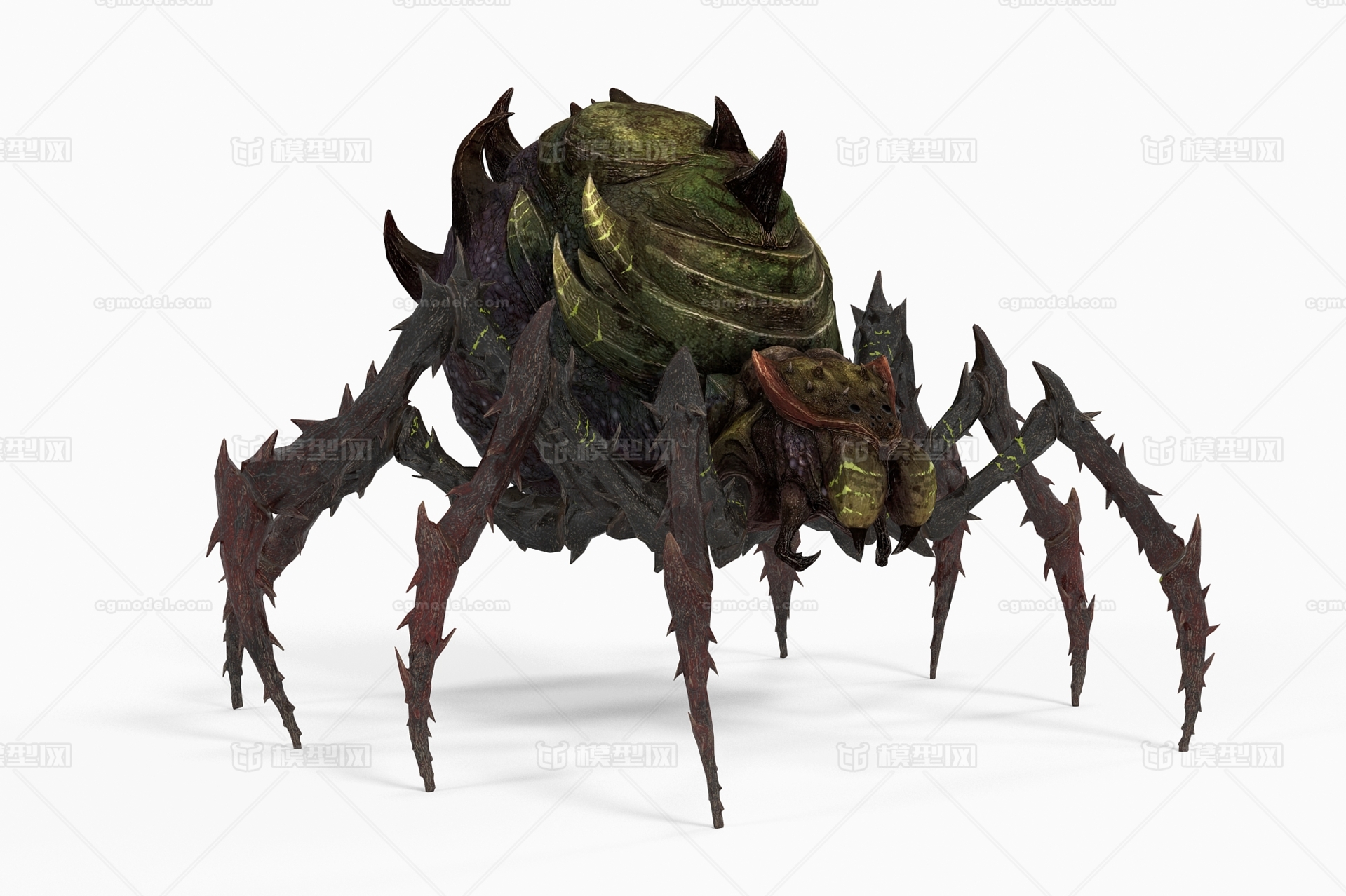 变异蜘蛛 恐怖蜘蛛