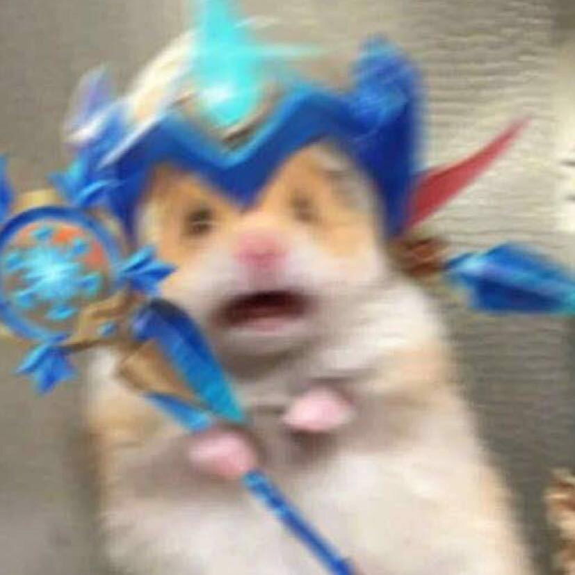 仓鼠惊讶表情包仓鼠惊讶表情