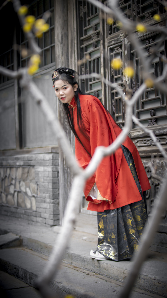 赏梅的古代才女