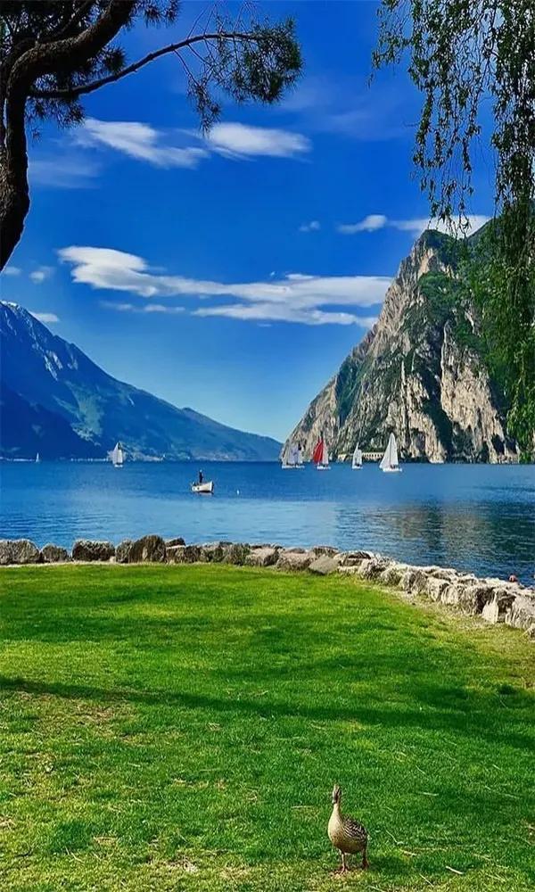 手机上看风景,还得看竖幅照片,小编为大家整理了世界顶级风光大片,不