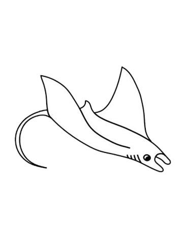 魔鬼鱼简笔画图片教你怎么画魔鬼鱼