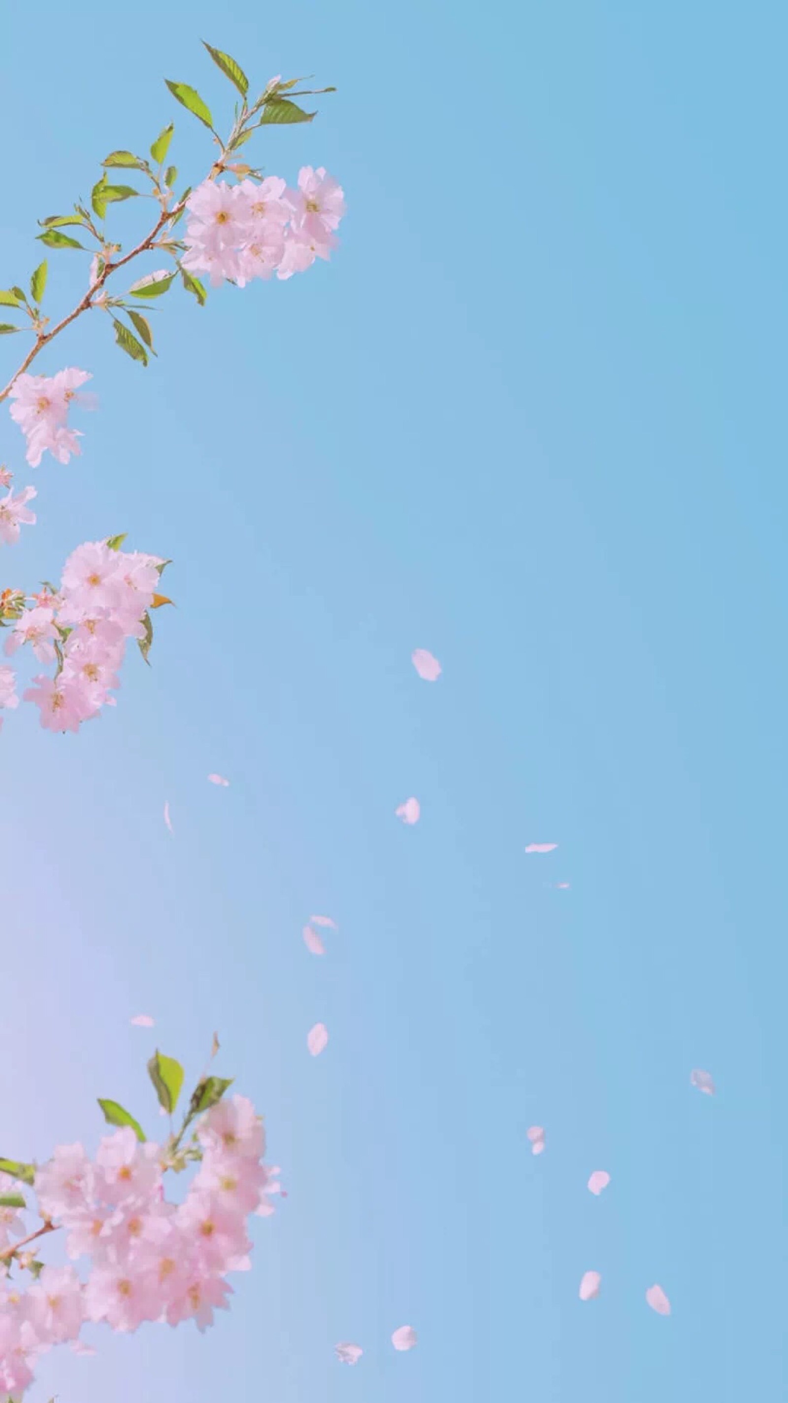 最美天空壁纸 简约 干净 唯美