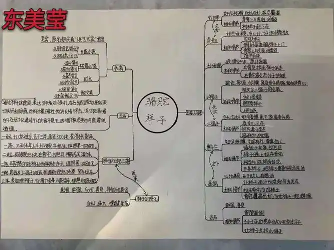 别样读书—《骆驼祥子》思维导图分享会