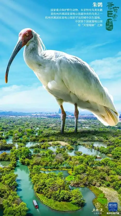 我国境内这九种稀有动物再现野外