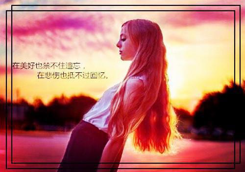 结婚后感情语录的句子