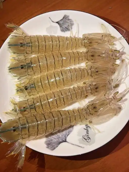 活大皮皮虾虾姑当季肥美东山岛海鲜