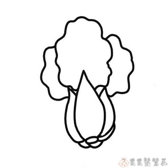 小白菜简笔画图片
