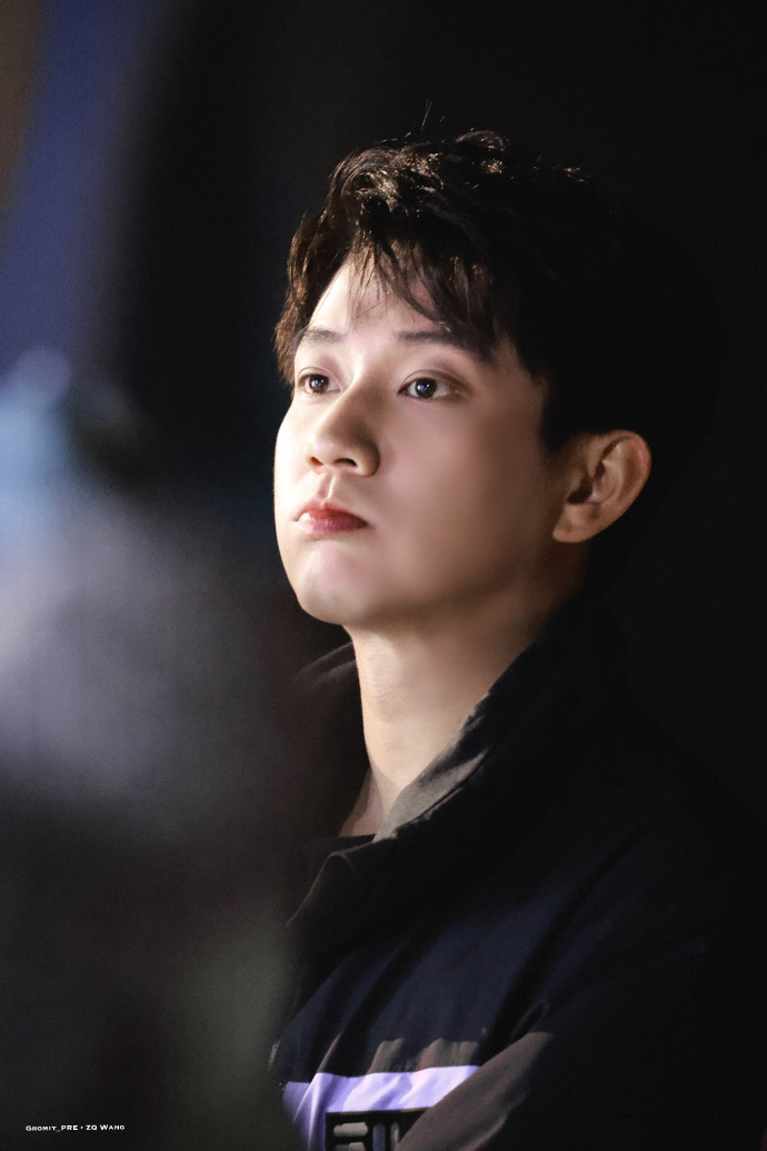 gromit_pre61 zq wang@王子奇是演员王子奇