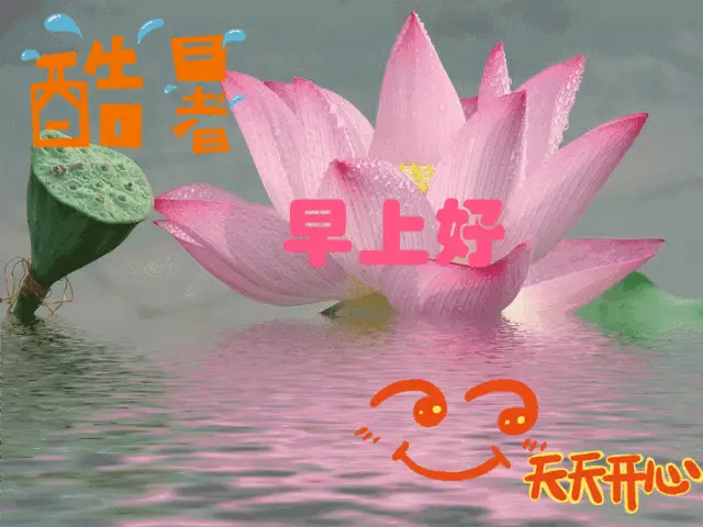 微信早上好表情图片问候短语早上好表情带字动态图片大全