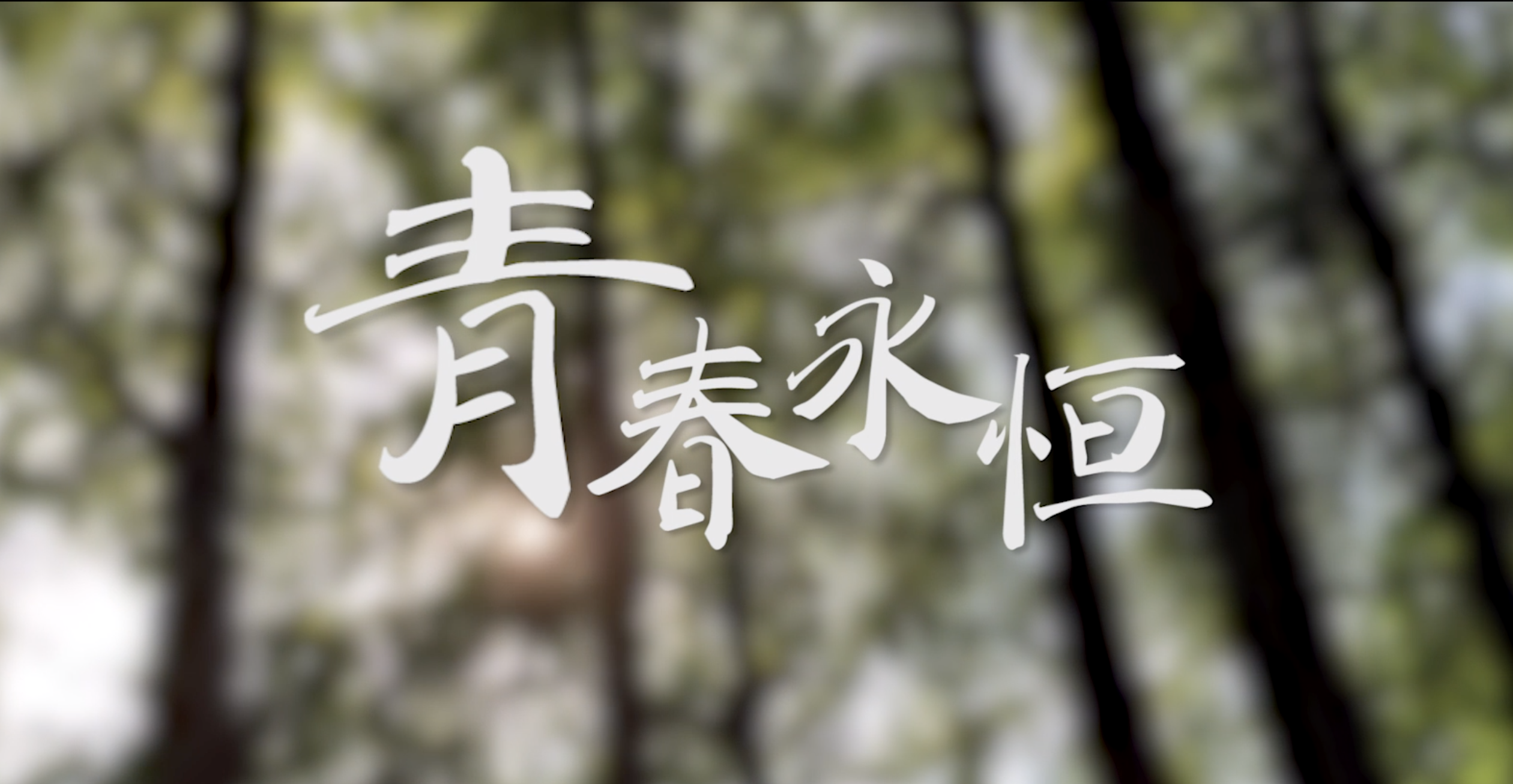 微视频|青春永恒 - 封面新闻