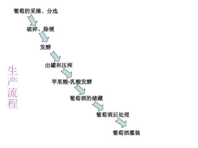 发酵工程—葡萄酒的生产工艺