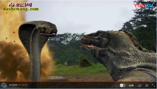 电影揭秘科莫多龙vs金刚巨蟒究竟谁更厉害