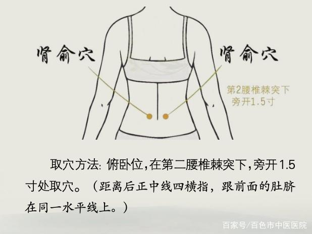 腰部的"肾俞穴",是肾之精气聚集之处,按摩,艾灸可温肾补阳