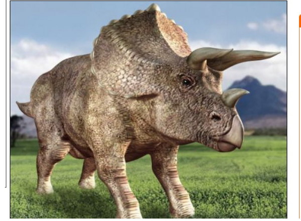 国际中心/综合报导 最近在纽约水牛城出土 的三角恐龙