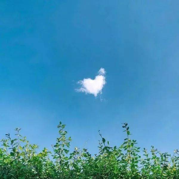 精选100张个性微信头像,任你挑选