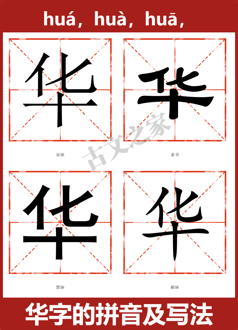 华的拼音怎么读