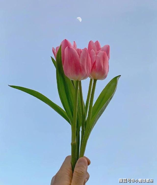 阳光暖心的哲理句子,字字精湛,句句唯美