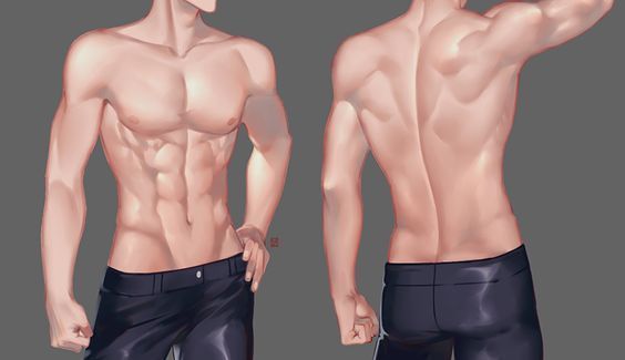 绘画参考素材#画肌肉必备,来学学男性肌肉怎么画