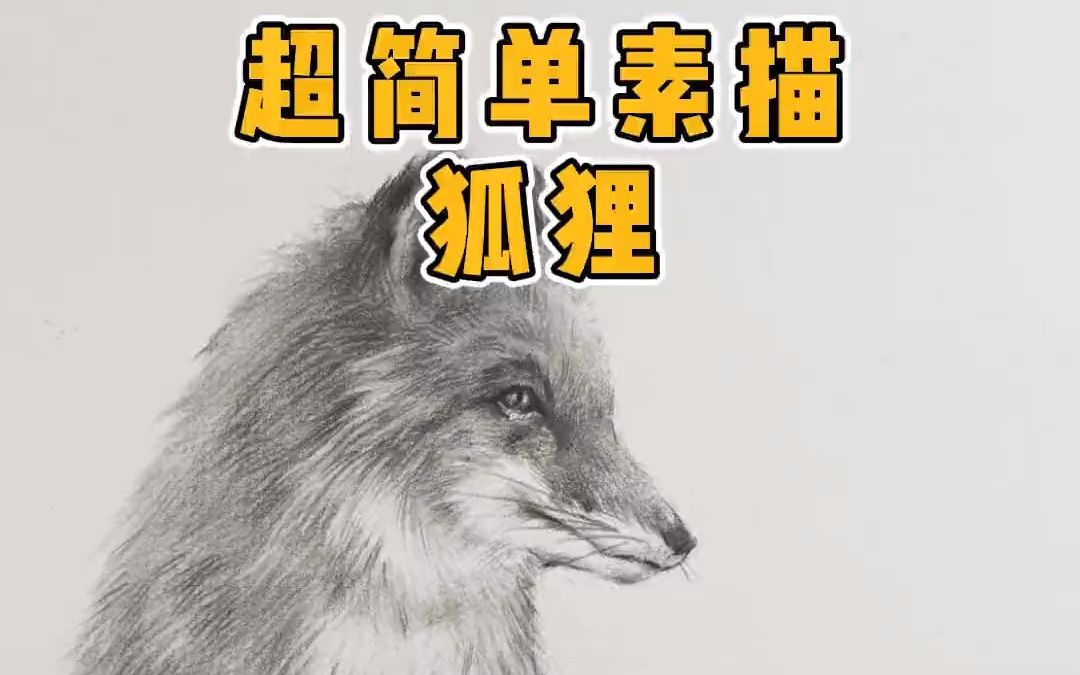 素描小狐狸教程