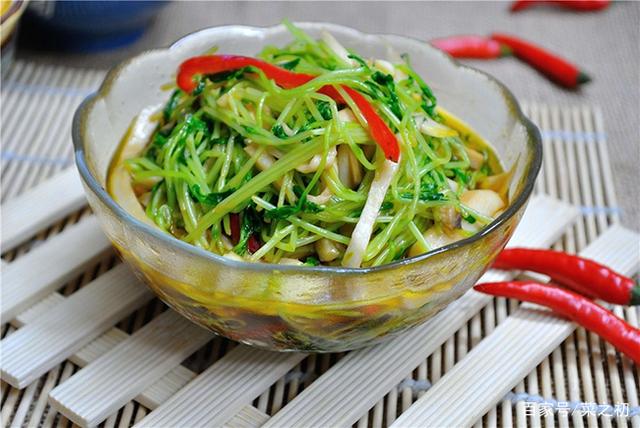 舌尖上的美食—芽苗菜