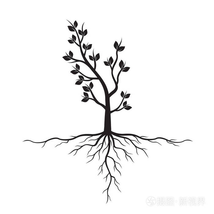 红黑树的根矢量图